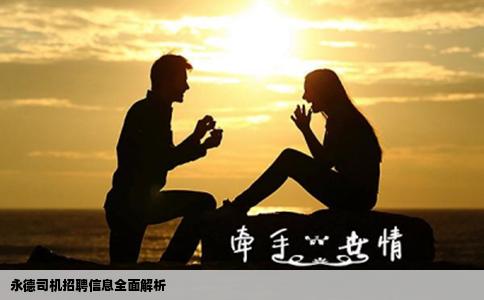 永德司机招聘信息全面解析
