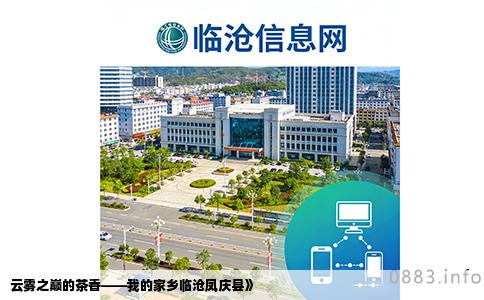 云雾之巅的茶香——我的家乡临沧凤庆县》