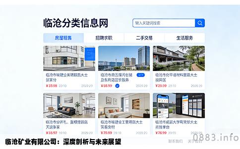 临沧矿业有限公司：深度剖析与未来展望