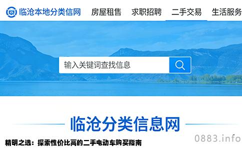 精明之选：探索性价比高的二手电动车购买指南