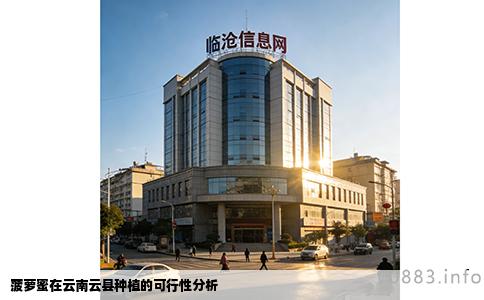 菠萝蜜在云南云县种植的可行性分析